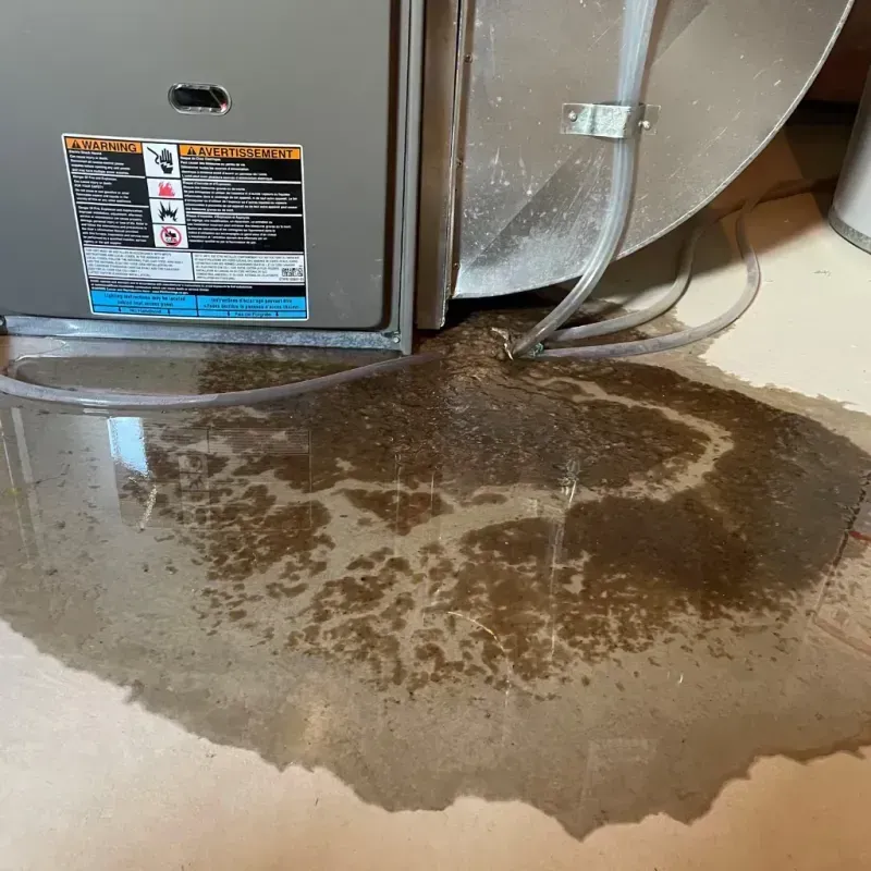 Appliance Leak Cleanup in Wilmington, DE